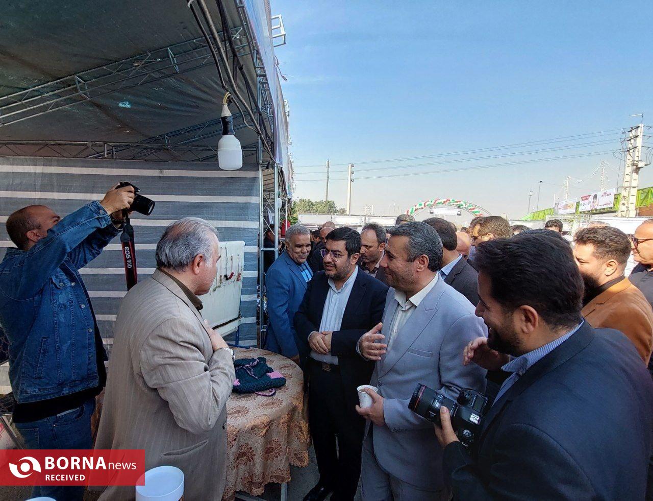 برگزاری اولین جشنواره برداشت گل کلم در بخش کهریزک