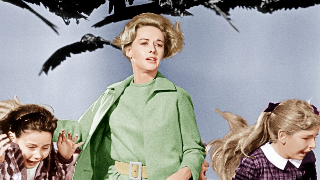 ۲۰ فیلم ترسناک که بر پایه داستان واقعی ساخته شدند_خبرخوان 97 The Birds