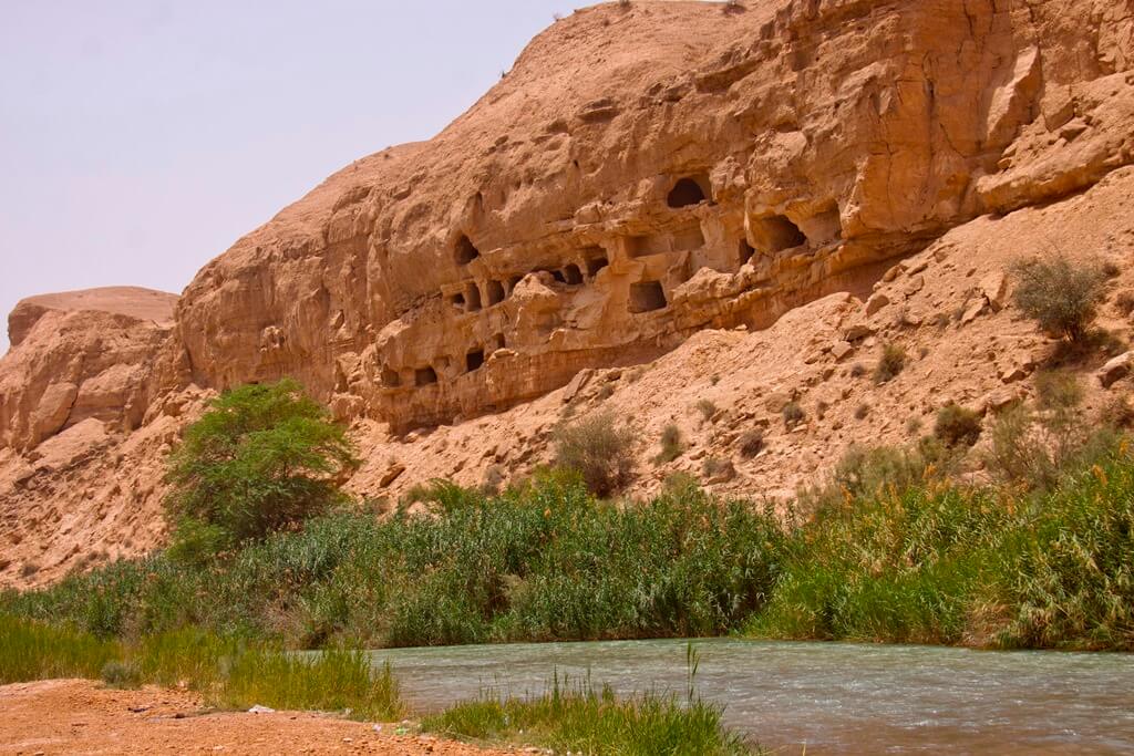سفری تابستانی به بوشهر