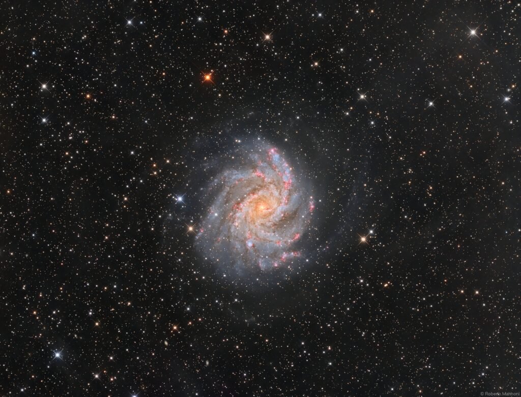 تصویر روز ناسا: روبه‌روی NGC 6946