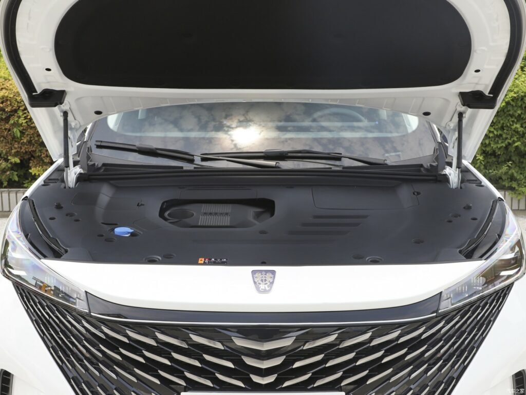 رووی ERX5