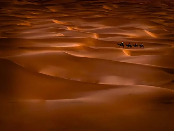 برندگان مسابقه عکاسی با آیفون 2024 اشکار شدند؛ ملاقاتی با کوسهها_خبرخوان 48 1724242132 59 برندگان مسابقه عکاسی با آیفون 2024 اشکار شدند؛ ملاقاتی با.webp