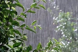 سامانه بارشی جدید فردا وارد کشور می‌شود/ کاهش ۱۳ درجه‌ای دما در مناطق شمالی
