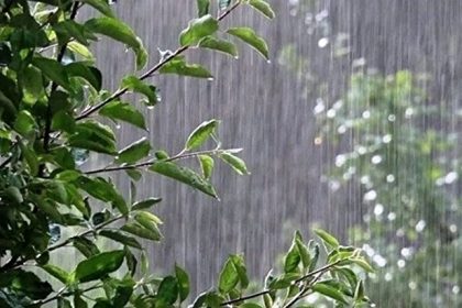سامانه بارشی جدید فردا وارد کشور می‌شود/ کاهش ۱۳ درجه‌ای دما در مناطق شمالی