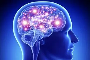 استرس مغزی چیست؟