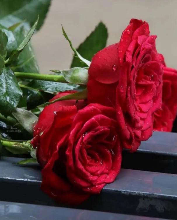 سخنان ناب حکیمانه و فلسفی استاد رزیتا دغلاوی نژاد " دانشمند مطرح ملی و نظریه پرداز برجسته ایرانی"