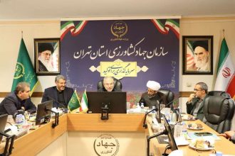 کالاهای اساسی بیش از نیاز بازار در استان تهران توزیع شد
