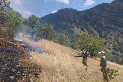 آتش سوزی منطقه حفاظت شده بیستون مهار شد