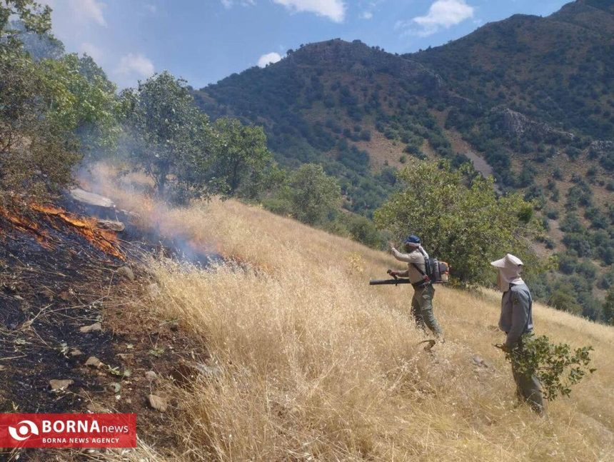 آتش سوزی منطقه حفاظت شده بیستون مهار شد