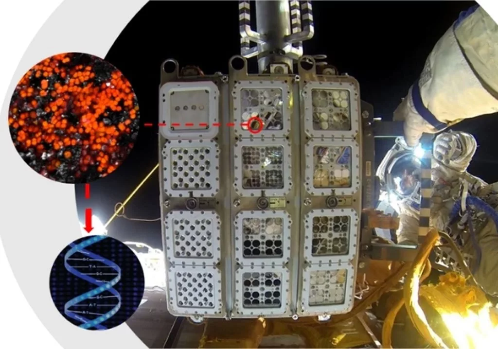 1757676231 824 یک میکروب می‌تواند با تبدیل خاک مریخ به اکسیژن نویدبخش.webp