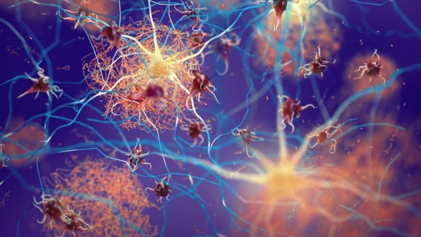 کشف تپش پنهان در مغز که می‌تواند هشداری برای زوال عقل باشد