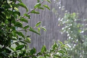 پیش‌بینی بارش پراکنده در شمال‌غرب و نوار شمالی کشور تا دوشنبه آینده