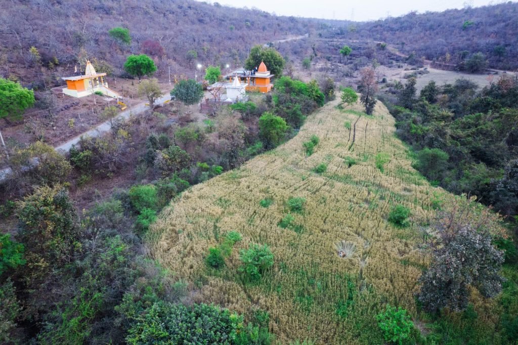 1763769314 996 برندگان جایزه عکاسی Nature inFocus سال ۲۰۲۵ اشکار شدند خبرخوان