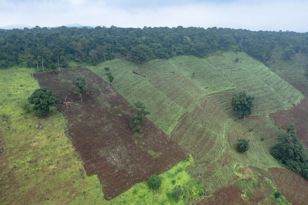 1763769316 598 برندگان جایزه عکاسی Nature inFocus سال ۲۰۲۵ اشکار شدند خبرخوان