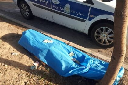 یک قلاده سگ، عامل تصادف مرگبار و فوت عابر پیاده در بزرگراه لشگری