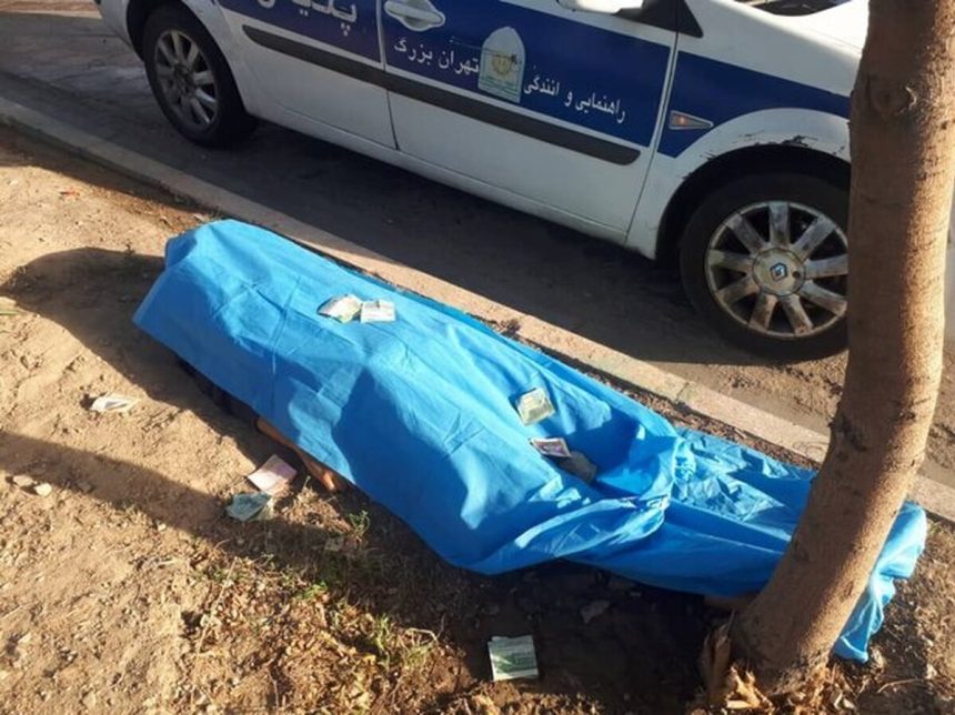 یک قلاده سگ، عامل تصادف مرگبار و فوت عابر پیاده در بزرگراه لشگری