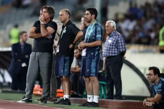 فقط برای ترجمه کنار زمین بودم