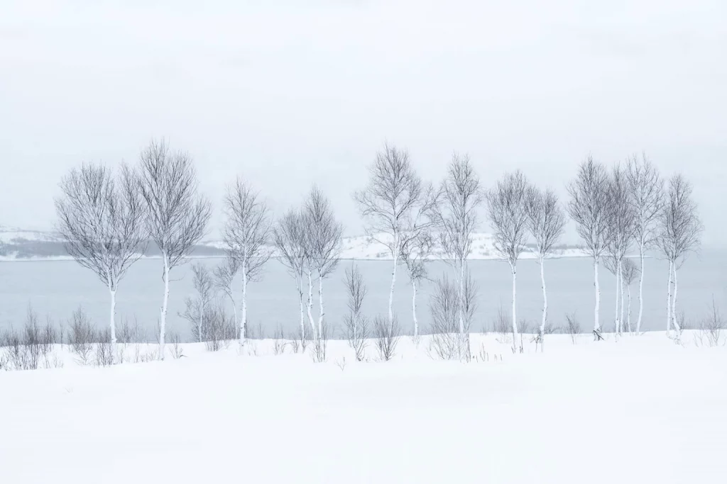 1764872180 999 برندگان دوازدهمین دوره جایزه بین‌المللی عکاس منظره سال اشکار شدند خبرخوان.webp