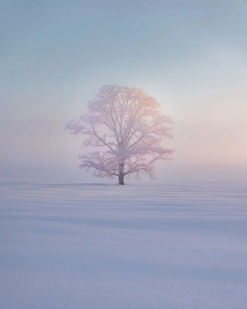 1764872183 796 برندگان دوازدهمین دوره جایزه بین‌المللی عکاس منظره سال اشکار شدند خبرخوان.webp