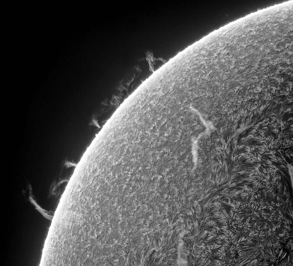 برندگان مسابقه عکاسی علمی انجمن سلطنتی ۲۰۲۵ اشکار شدند + گالری_خبرخوان 41 مسابقه عکاسی علمی انجمن سلطنتی ۲۰۲۵