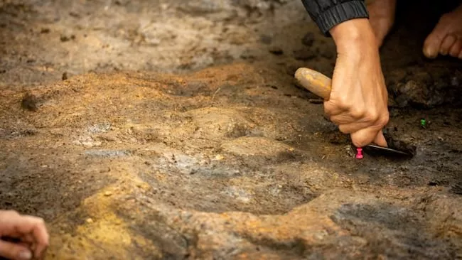 1765758110 917 انسان‌ها 350 هزار سال سریعتر از فکر قبلی ما آتش.webp