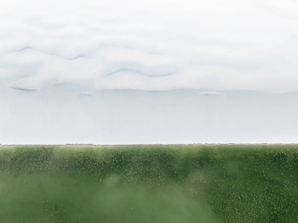 برندگان دوازدهمین دوره جایزه بین‌المللی عکاس منظره سال اشکار شدند خبرخوان.webp